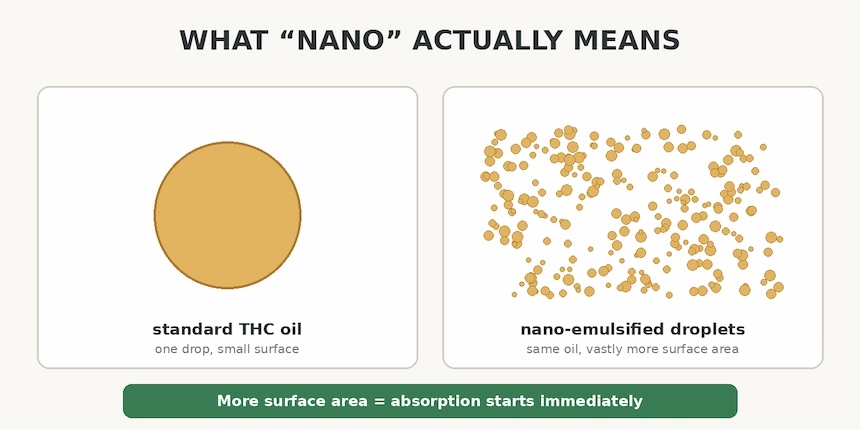 Illustration of one large THC oil drop versus nano emulsified droplets surface area